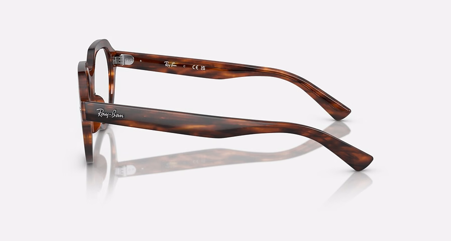 GINA OPTICS