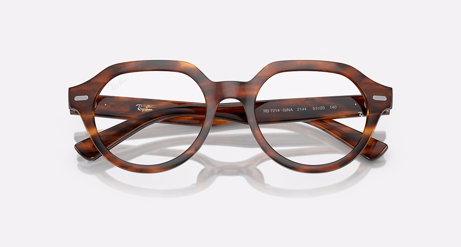 GINA OPTICS